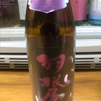 富山県の酒