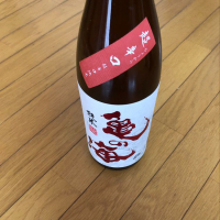 亀の海