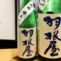 富山県の酒