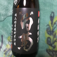 大典白菊