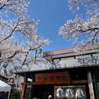 千曲錦のレビュー by_ノリ