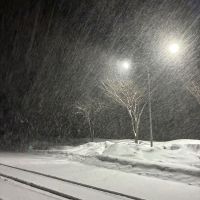 越後で候のレビュー by_ノリ