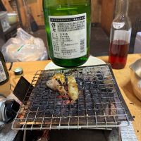 伊七のレビュー by_ノリ