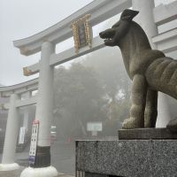 天覧山のレビュー by_ノリ