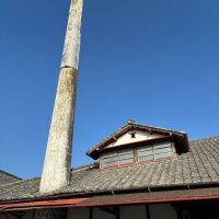 若駒のレビュー by_ノリ