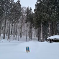 唎酒のレビュー by_ノリ