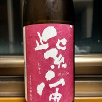 紫宙