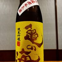 亀の海