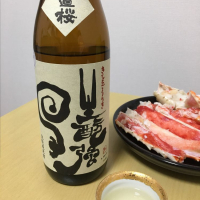 
            日置桜_
            びわさん