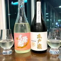 
            光栄菊_
            wajoryoshuさん