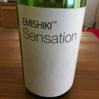 
            SENSATION_
            ぴいぴいさん