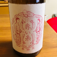 
            笑四季_
            ぴいぴいさん
