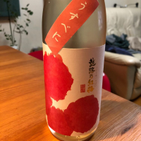 新潟県の酒