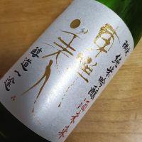 東洋美人