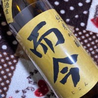 
            而今_
            shanksさん