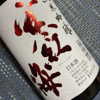 
            寒紅梅_
            shanksさん
