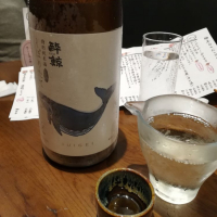 高知県の酒