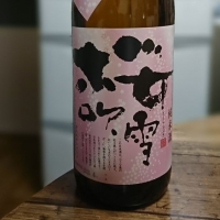 
            桜吹雪_
            酒酔猫さん