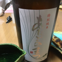 愛宕の松