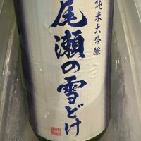 尾瀬の雪どけ