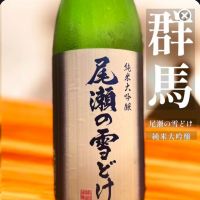 尾瀬の雪どけ