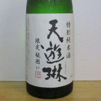 天遊琳