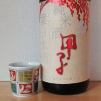 
            甲子_
            酔楽さん