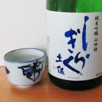 
            土佐しらぎく_
            酔楽さん