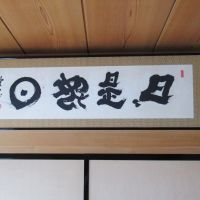 日日のレビュー by_酔楽