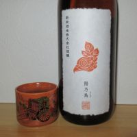 
            陽乃鳥_
            酔楽さん