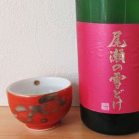 
            尾瀬の雪どけ_
            酔楽さん