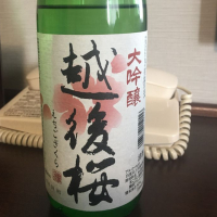 新潟県の酒