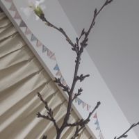 飛露喜のレビュー by_仕事前日は2合まで