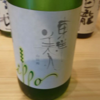 山口県の酒