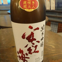 
            寒紅梅_
            nodaさん