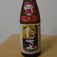 新潟県の酒