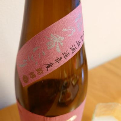 かぶかぶさん(2024年4月19日)の日本酒「写楽（冩樂）」レビュー