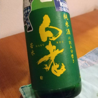 白老