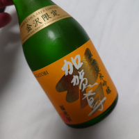 加賀鳶