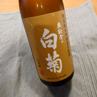 奥能登の白菊