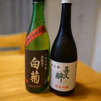 奥能登の白菊
