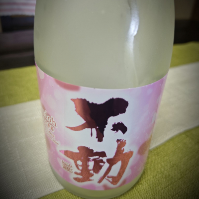 不動のレビュー by_Edgar Miyahara