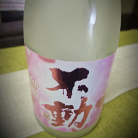 不動