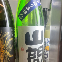 新潟県の酒