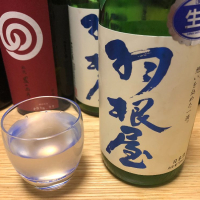 富山県の酒