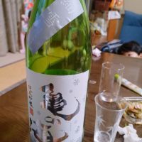 亀の海