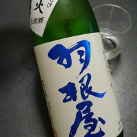 
            羽根屋_
            マスカラきゃりいさん