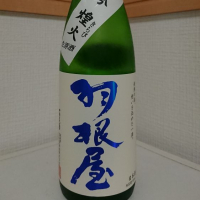 
            羽根屋_
            もっちさん