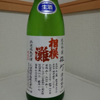 
            相模灘_
            もっちさん