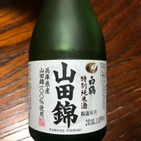 
            白鶴_
            わじゅさん